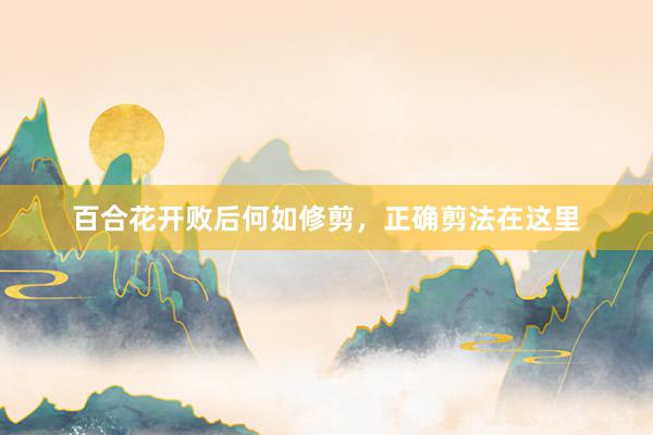 百合花开败后何如修剪，正确剪法在这里