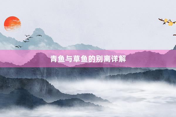 青鱼与草鱼的别离详解